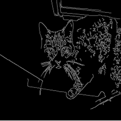 Canny edge map defining a cat sitting on a chair